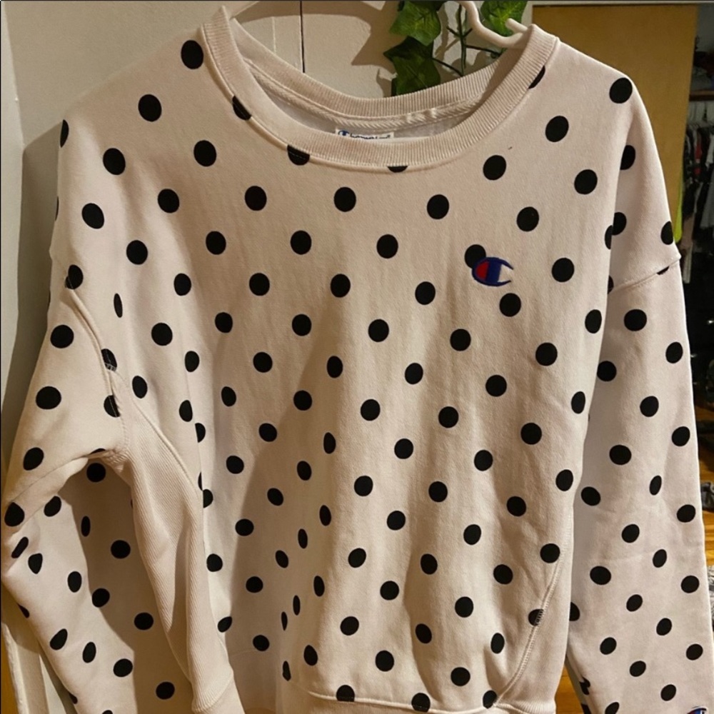 nwot champion sweatshirt - reserved